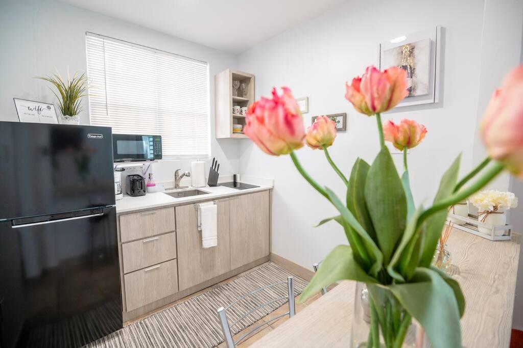 1 Santurce 1 Bedroom 1bathroom Apt Apartamento San Juan
